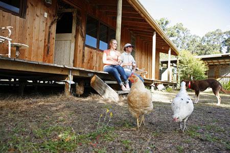 Lovedale Cottages Hunter Valley Εξωτερικό φωτογραφία